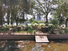 -莲花池公园
