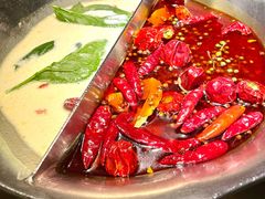 红颜花胶和川味治愈鸳鸯锅-湊湊火锅·茶憩(和平大悦城店)