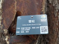 -北京植物园-展览温室