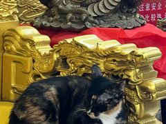 -青州府金砖牛肉煎饼