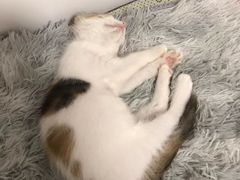 -畜牧兽医站(共江路店)