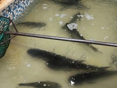 -锅老头铁锅炖•大锅蒸汽海鲜(韩乐坊店)