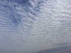 -瑶湖郊野森林公园