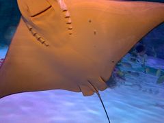 -沈阳海洋探索中心