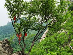 -丹东凤凰山景区