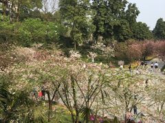 -南山植物园