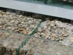 -家乐福(四元桥购物中心店)