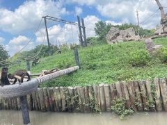 -上海野生动物园