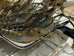 -Thai Basil罗勒叶泰式餐厅(时代天街店)