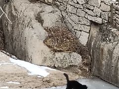 -北京凤凰岭