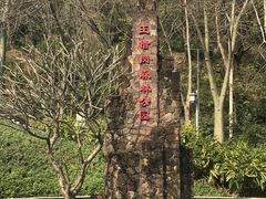 -王借岗森林公园