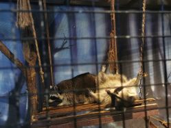 -酷嗒动物文化乐园(cutezoo西溪乐天城店)