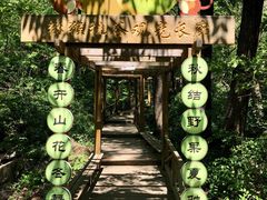 -大岭沟猕猴桃谷风景区