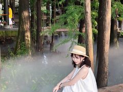 -东湖落雁景区