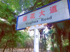-武汉大学-樱园
