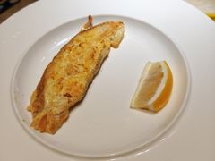 -朝阳闽灶·非遗文化闽菜馆·福建老字号(福飞路店)