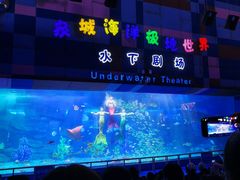 -泉城欧乐堡海洋极地世界