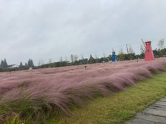 -鹅湖玫瑰文化园