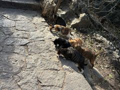 -云龙山