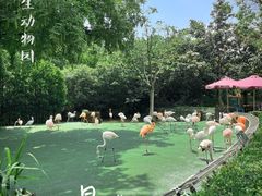 -上海野生动物园