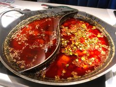 红汤梭边鱼锅-新辣道鱼火锅(西直门店)