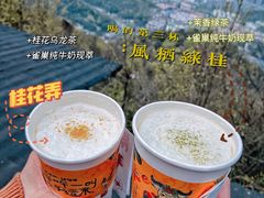 -茶颜悦色(岳麓山顶店)