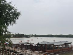 -上海海湾国家森林公园