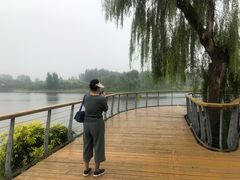 -东郊湿地公园