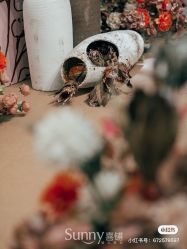 -Sunny喜铺婚礼定制·求婚策划