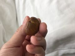 -黑孩油栗皇(南阳路店)