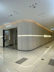 -Fundi张玉珊修身堂·indiba·BTL科技瘦身