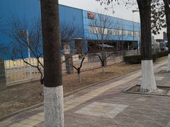 -Dole都乐水果直营