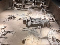 -洛阳周王城天子驾六博物馆