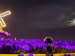 -大塘金香草谷