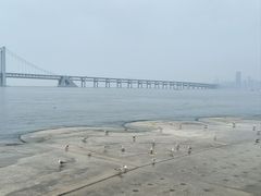 -星海湾跨海大桥