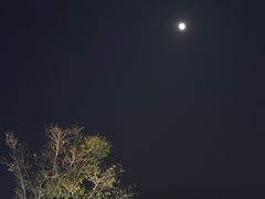 -鸿运酒楼