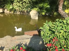 -厦门日月谷温泉渡假村