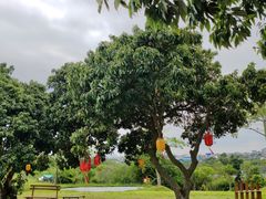-石家庄万象城