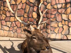 -金庭庄园酒店-停车场