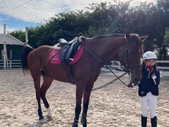 -北京群众马术培训基地