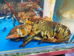 -87号烧烤海鲜·大排档(金沙滩店)