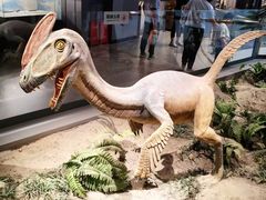 -辽宁古生物博物馆