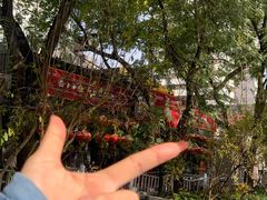 -顺承小院儿