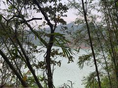 -羚羊峡古栈道森林公园