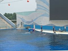 -北戴河圣蓝海洋公园