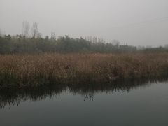 -淇河国家湿地公园