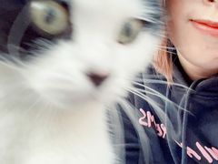 -喵屿·大理花园猫咖