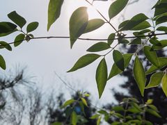 -玲珑塔公园