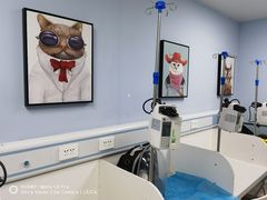 -纳吉亚猫专科动物诊疗中心(蒋宅口分院)