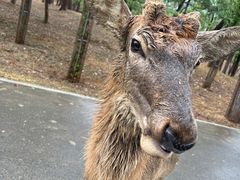 -秦皇岛野生动物园
